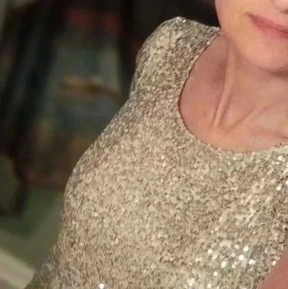 NWT Cable and Gauge Sequin Puff Sleeve Swing / Shift Dress Size Small 🥰 - Picture 3 of 7